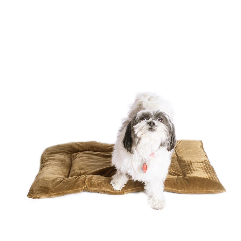 Medium Pet Bed Mat With Poly Fill Cushion In Sage Green