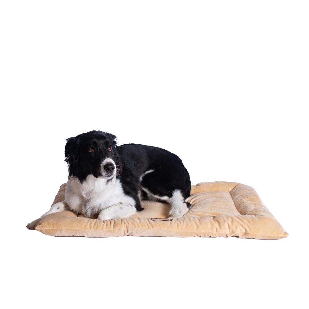 Large Pet Bed Mat With Poly Fill Cushion In Beige