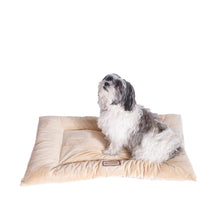 Medium Pet Bed Mat With Poly Fill Cushion In Beige
