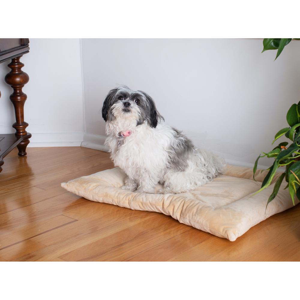 Medium Pet Bed Mat With Poly Fill Cushion In Beige