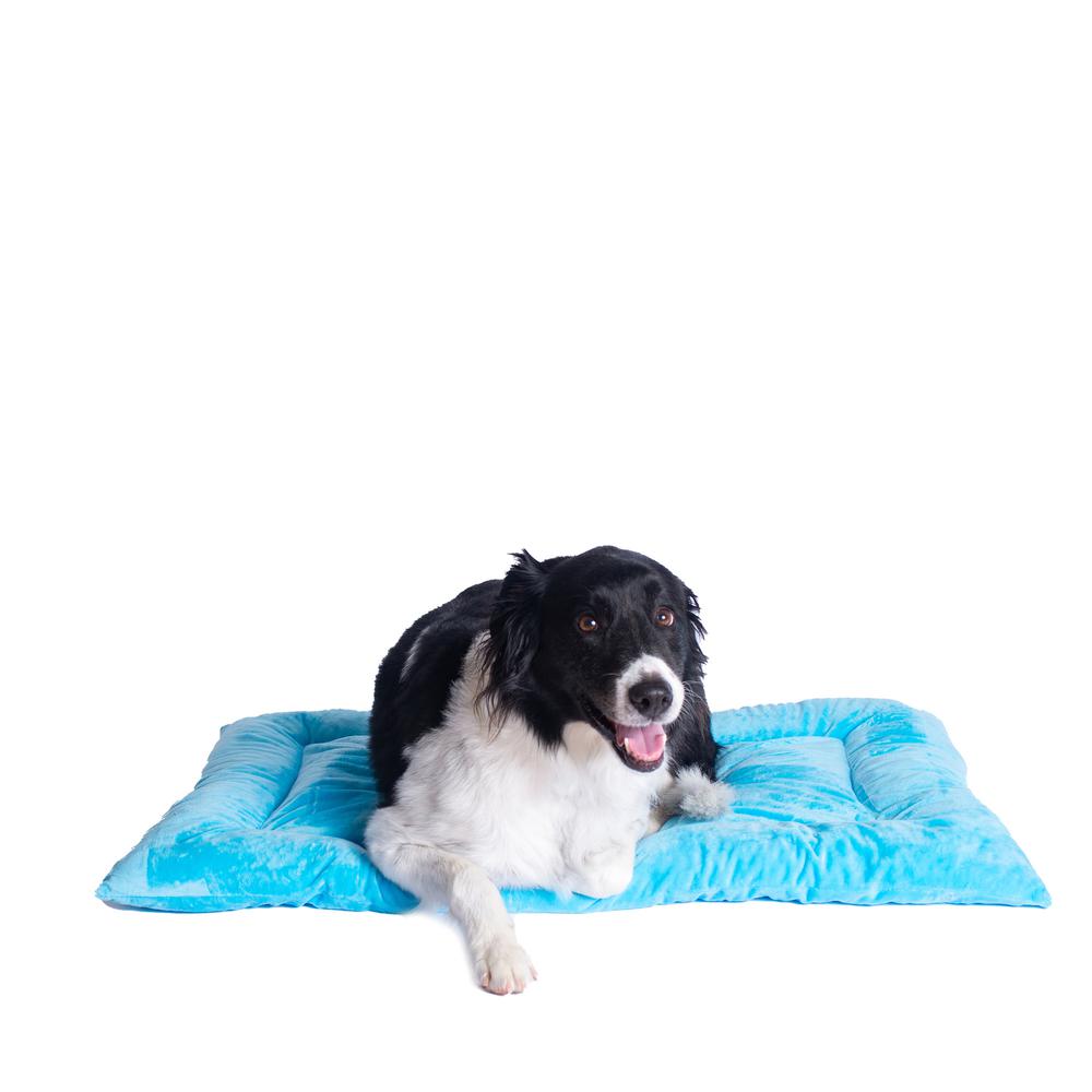 Large Pet Bed Mat With Poly Fill Cushion In Sky Blue