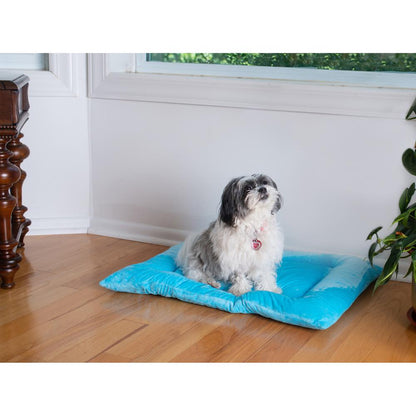 Medium Pet Bed Mat With Poly Fill Cushion In Sky Blue