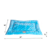 Medium Pet Bed Mat With Poly Fill Cushion In Sky Blue