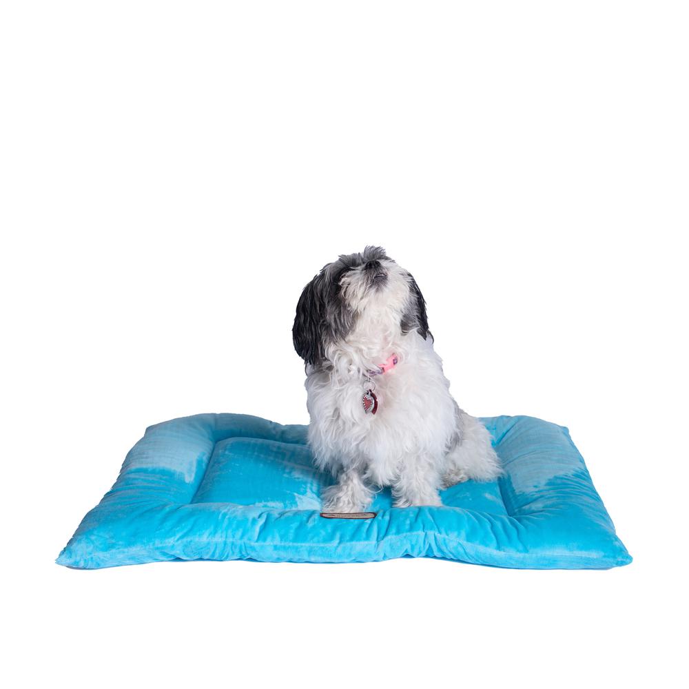 Medium Pet Bed Mat With Poly Fill Cushion In Sky Blue
