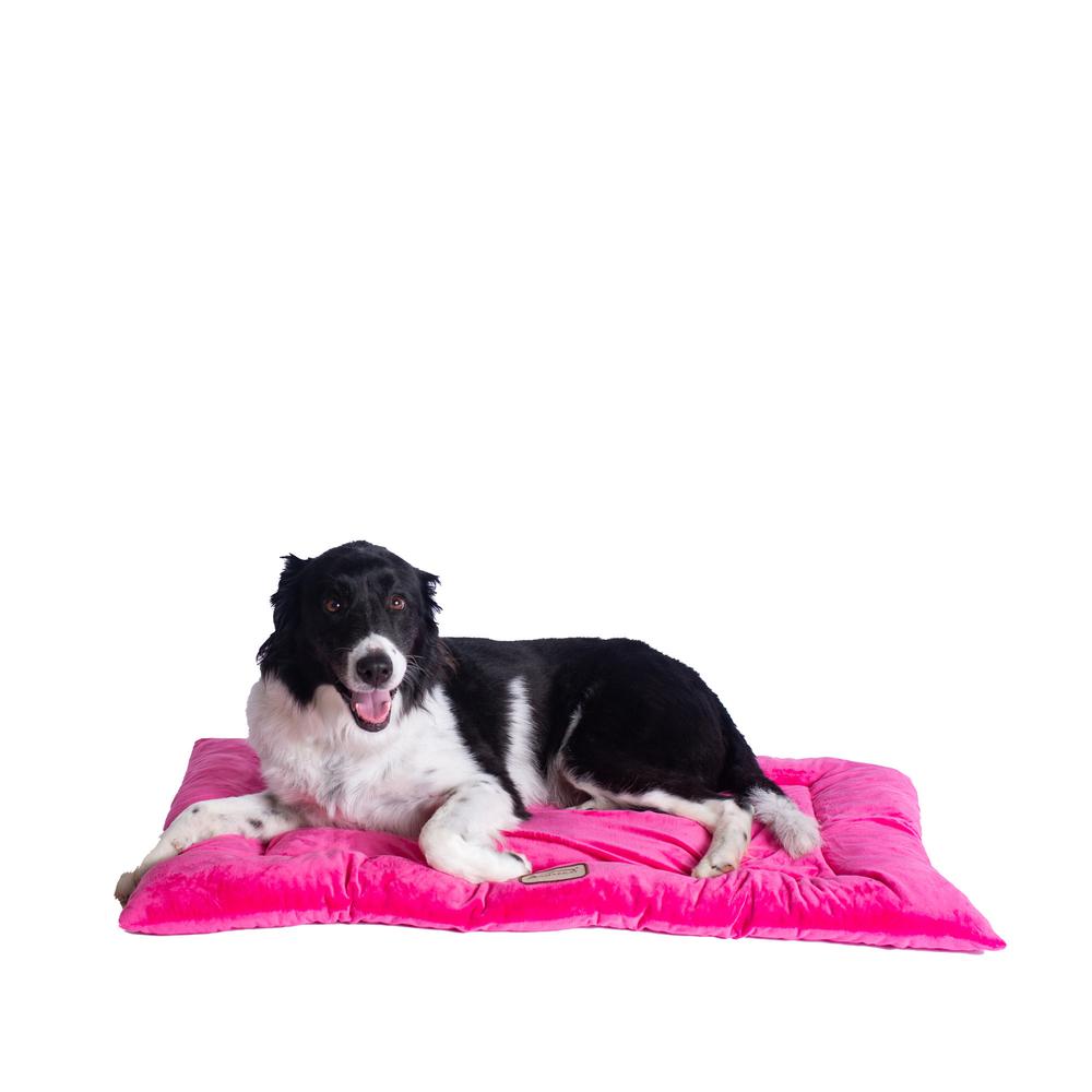 Medium Pet Bed Mat With Poly Fill Cushion In Vibrant Pink