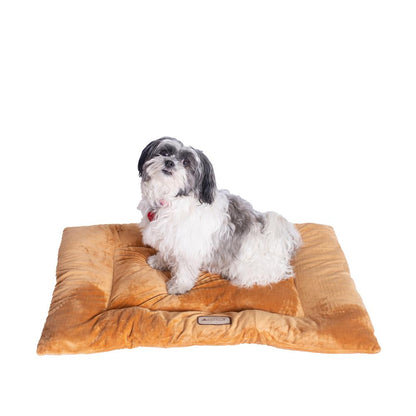 Medium Pet Bed Mat With Poly Fill Cushion In Earth Brown
