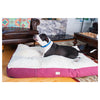 Extra Large Pet Bed Mat With Poly Fill Cushion In Burgundy & Ivory