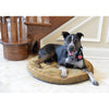 Pet Bed Pad With Poly Fill Cushion In Sage Green