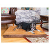 Large Memory Foam Orthopedic Pet Bed Mat In Mocha & Earth Brown