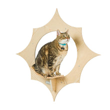 Sun Shape Cat Wall Shelves