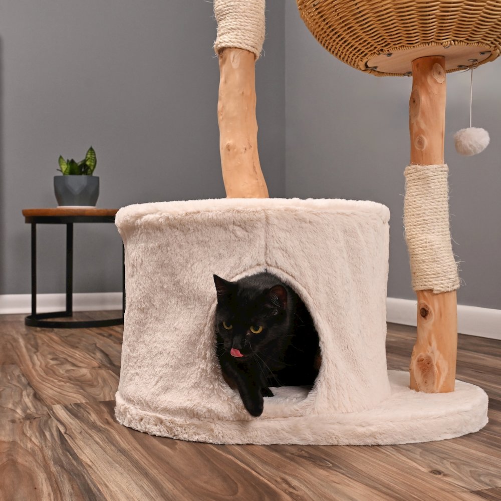 Classic Real Wood Cat Tree, 32-Inch Beige