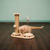Interactive Scratch Post Activity Center -- The Ultimate Cat Playground