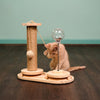 Interactive Scratch Post Activity Center -- The Ultimate Cat Playground