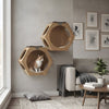 Solid Wood Hexagon Condo Wall-Mounted Cat Climbing Perch and Scratcher