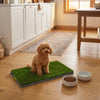 26.7in. x 16.5in. UV Artificial Pet Potty Grass Training Pad (In/Out)