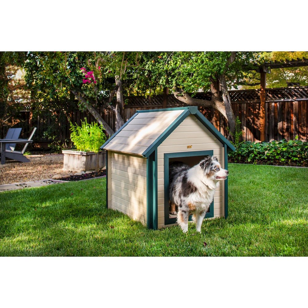 ECOFLEX Bunk Style Dog House - Large