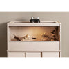48" Mojave Reptile Lounge Maple