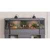 ECOFLEX 60" Mojave Reptile Lounge