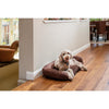 New Age Pet Buddy's Memory Foam Dog Cushion - Large