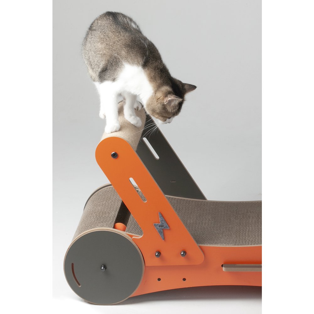 Purr And Play Kitty Trolley Scratcher