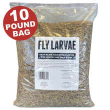 Flock Fest 10 Lbs Bag Fly Larvae