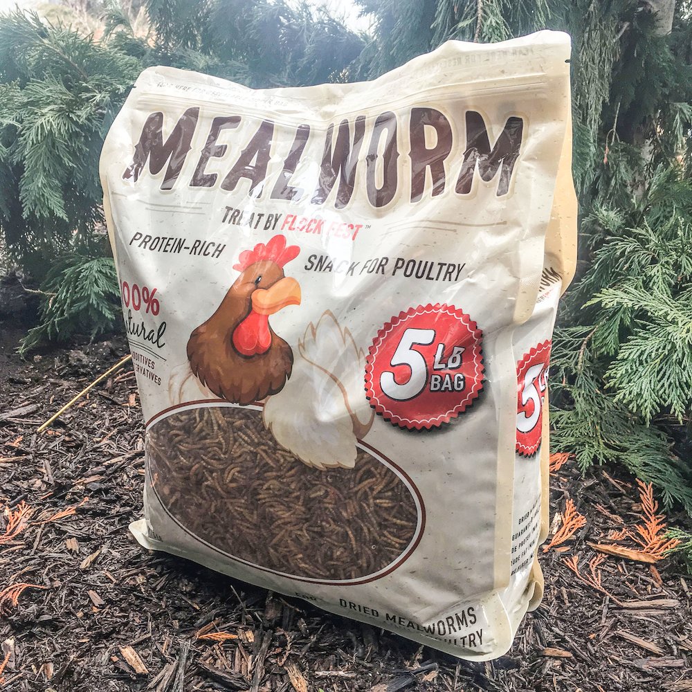 Buffalo Outdoor Dried Mealworms for Chickens, Wild Birds and Ducks, 5 Lbs Bag