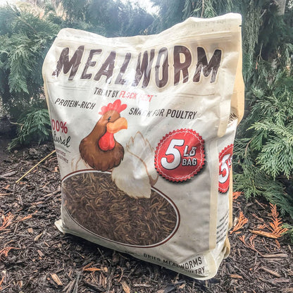 Buffalo Outdoor Dried Mealworms for Chickens, Wild Birds and Ducks, 5 Lbs Bag