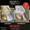 Renew Gold Glo - Hoof and Hair Growth Supplement