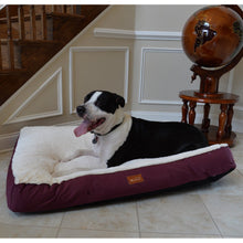 Extra Large Pet Bed Mat With Poly Fill Cushion In Burgundy & Ivory