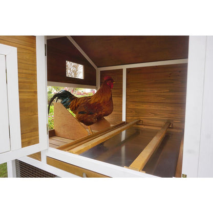 Farmstead Chicken Coop