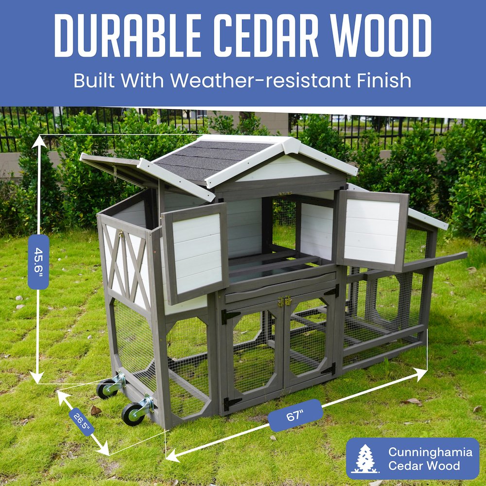 Extended Country Style Chicken Coop