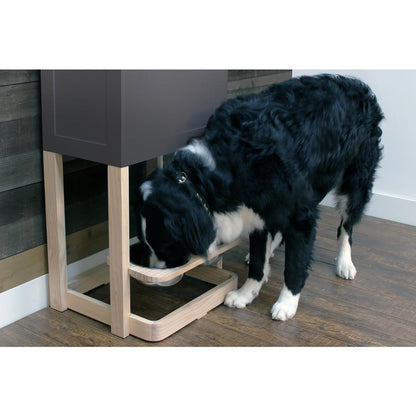 Pet Feeder Station, Gray