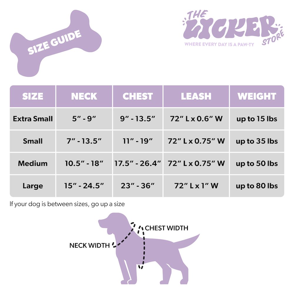 Teddy  Bouclé Adjustable H Harness and Leash Walk Set with Poop Bag Pouch