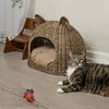 Cat Ear Coastal Handwoven Rattan Cat Bed With Machine-Washable Cushion