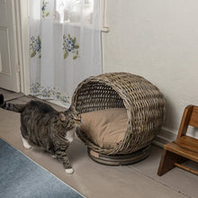 Socket Dome Bohemian Handwoven Rattan Cat Bed With Machine-Washable Cushion