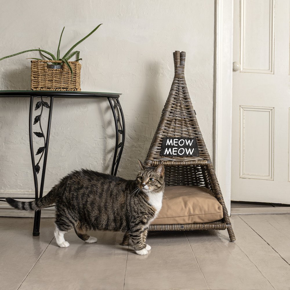 Tiki Tent Coastal Handwoven Rattan Cat Bed With Machine-Washable Cushion