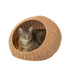 19.5" x 18" Circular Faux Wicker Pet Bed with Machine-Washable Cushion, Natural