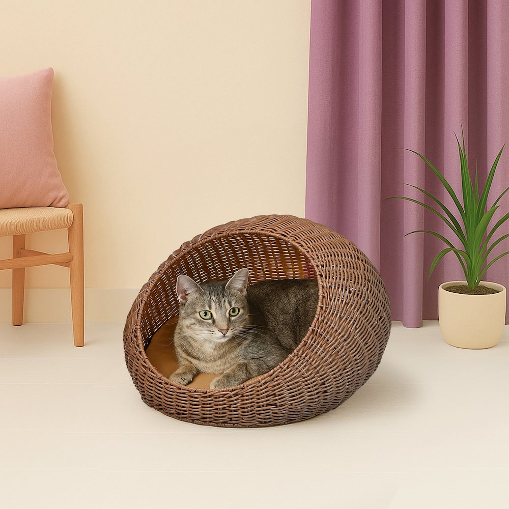 19.5" x 18" Circular Faux Wicker Pet Bed with Machine-Washable Cushion, Brown