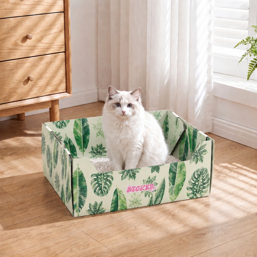 Bosco 17" Cardboard Cat Litter Box with Scoop, Green Leaf (2-Pack)