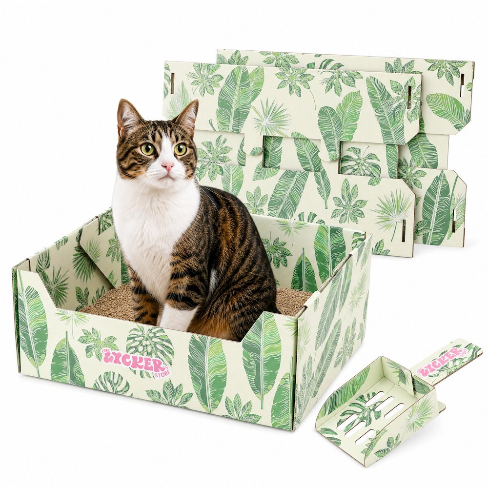 Bosco 17" Cardboard Cat Litter Box with Scoop, Green Leaf (2-Pack)