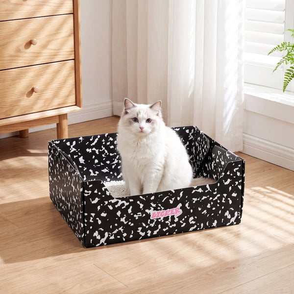 Bosco 17" Cardboard Cat Litter Box with Scoop, Speckle Black (2-Pack)