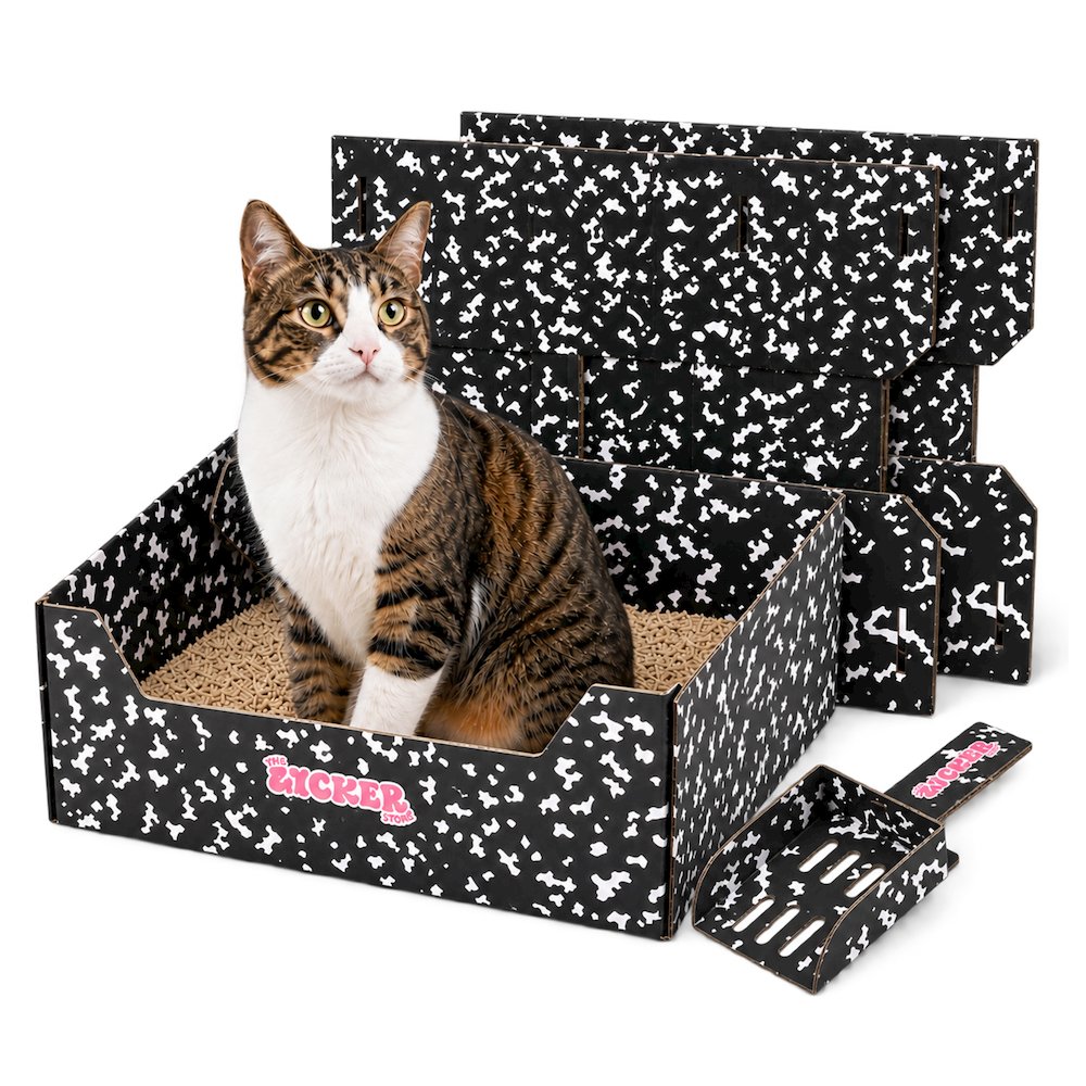 Bosco 17" Cardboard Cat Litter Box with Scoop, Speckle Black (2-Pack)