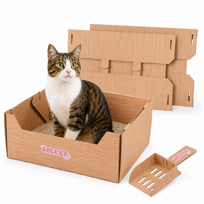 Bosco 17" Cardboard Cat Litter Box with Scoop, Honey Oak (2-Pack)