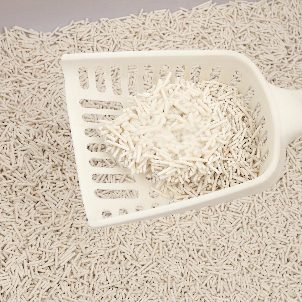 Ultra Absorbent Fast Clumping Flushable Tofu Cat Litter, 8 LBS x 2 Bags