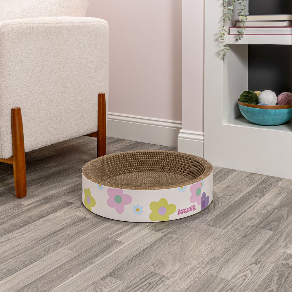 Daisy Modern Cardboard Bowl Cat Scratcher With Catnip