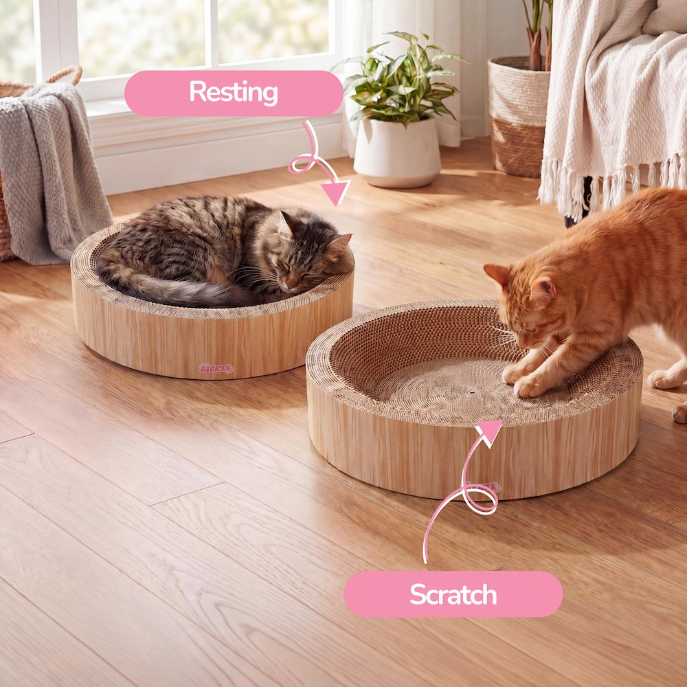 Daisy Cardboard Bowl Cat Scratcher with Catnip, Oak Wood Finish (Set of 2)