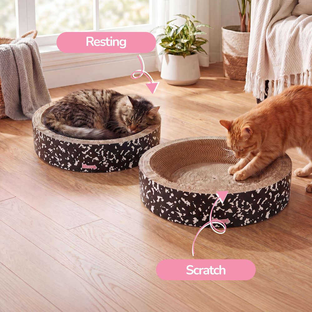 Daisy Modern Cardboard Bowl Cat Scratcher with Catnip, Black/White (Set of 2)