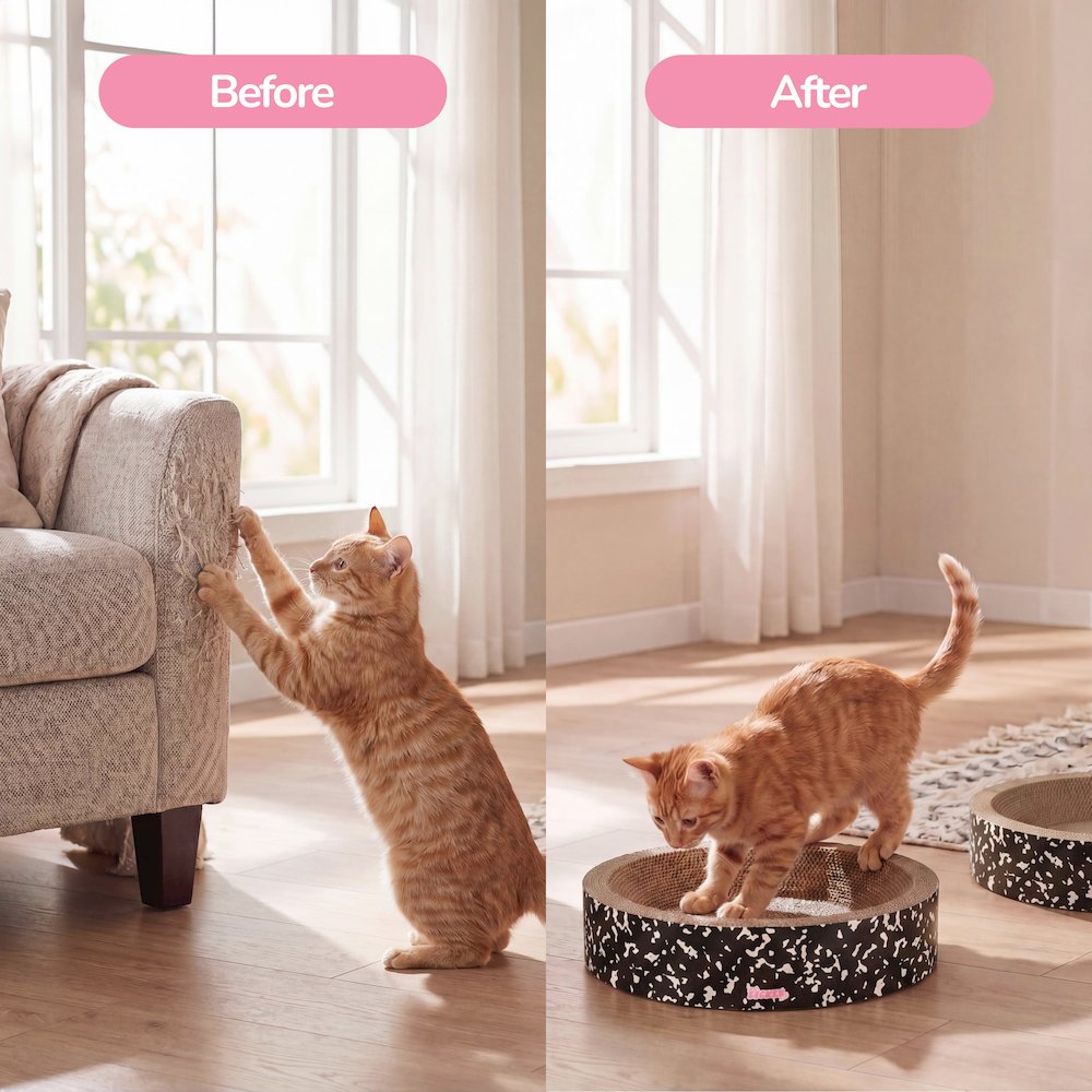 Daisy Modern Cardboard Bowl Cat Scratcher with Catnip, Black/White (Set of 2)