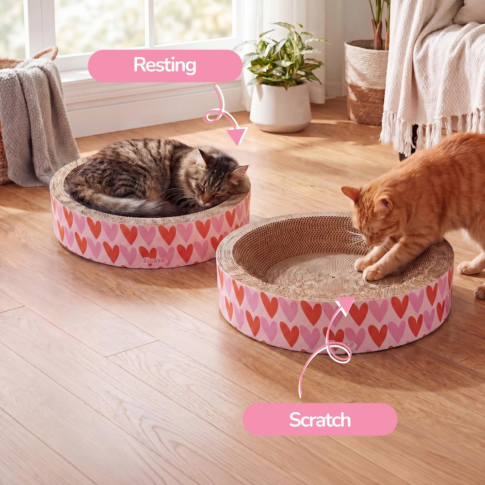 Daisy Modern Cardboard Bowl Cat Scratcher with Catnip, Pink/Red (Set of 2)