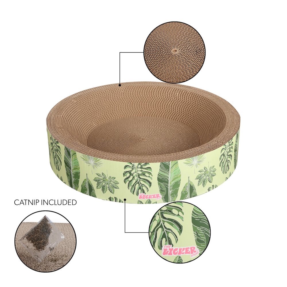 Daisy Modern Cardboard Bowl Cat Scratcher with Catnip, Mint/Green (Set of 2)